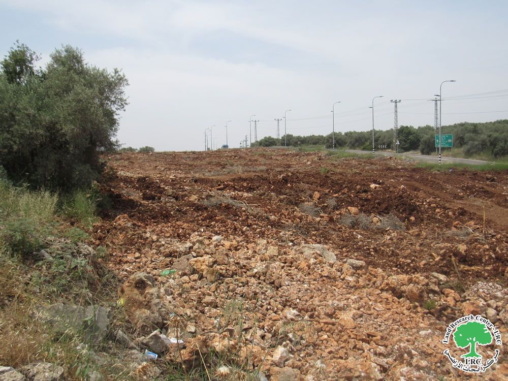 Israeli Occupation Forces Bulldoze and Uproot 145 Mature Olive Trees in Deir Istiya Village, Salfit Governorate | LRC