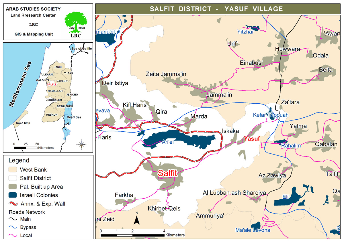 Colonists Cut and Vandalize 10 Olive Trees in Yasuf Village/  East of Salfit | LRC
