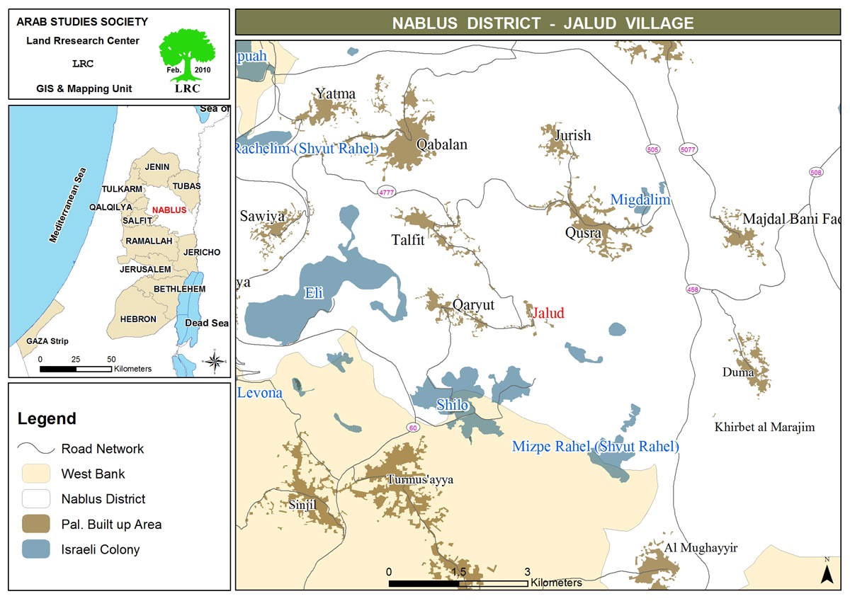 Settlers Cut Down 400 Olive Trees in Jaloud Village/  South Nablus | LRC