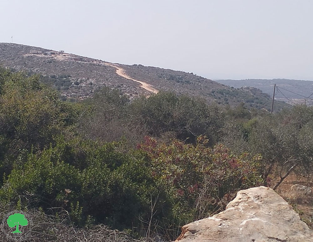 Establishing a New Colonial Settlement Outpost and Constructing a Colonial Road on the Lands of Al-Nazlah Al-Sharqiyah Village / Tulkarem Governorate | LRC