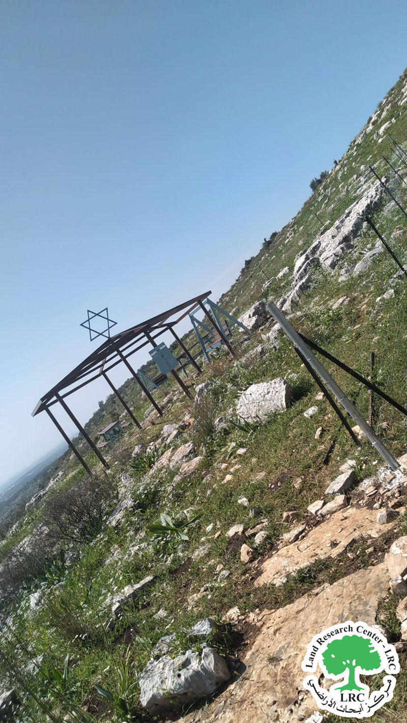 Settlers Cut Olive Trees and Damage Metal Fence in Dhaher al 'Abed Village / Jenin Governorate | LRC