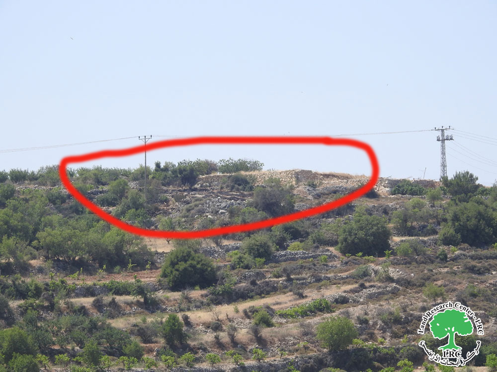 Settlers burn farmers’ hands in Beit Ummar, North Hebron | LRC