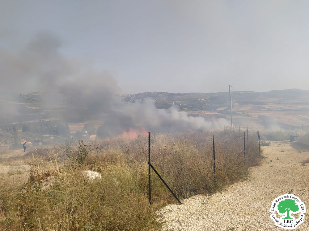 Settlers Burn 32 Dunams of Wheat Fields in Burqa Village / Nablus Governorate | LRC