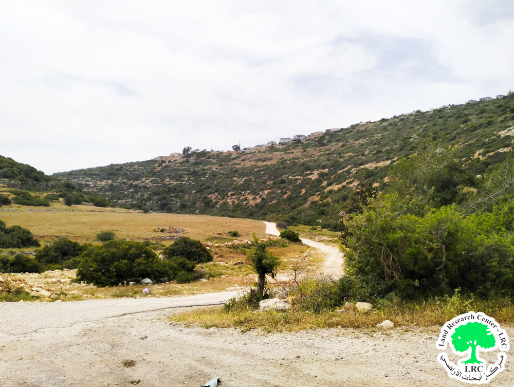 An Eviction Order on a Plot in Wadi Qana / Salfit Governorate | LRC