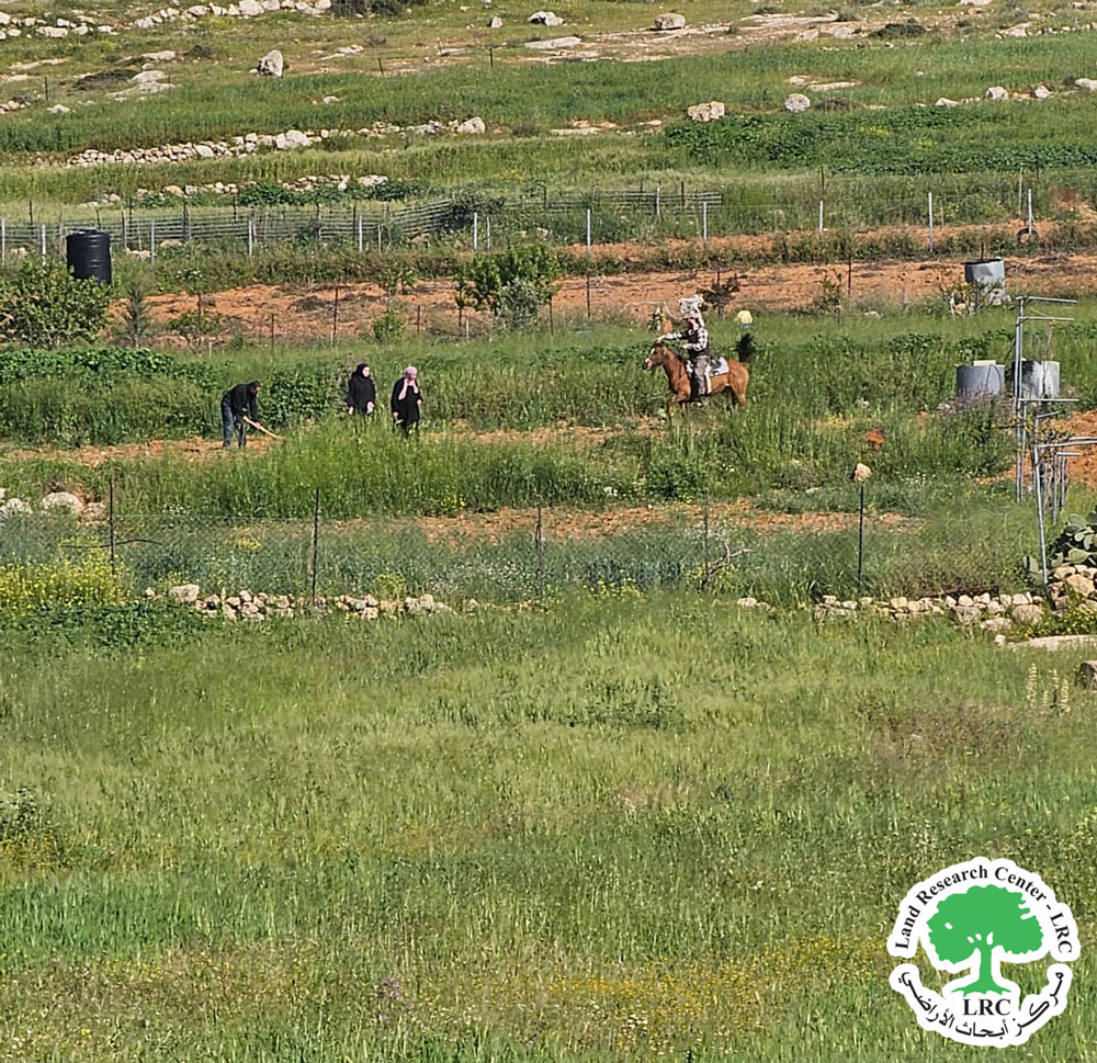مستعمرون يعتدون على أراضي المزارع رومي بمنطقة " الفرش" جنوب يطا / محافظة الخليل | LRC