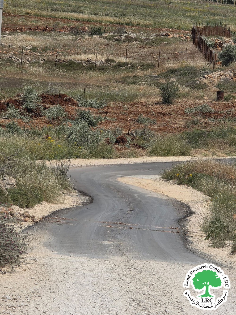 Land Ravaging and Uprooting of 200 Olive Trees in Qusra, south of Nablus | LRC