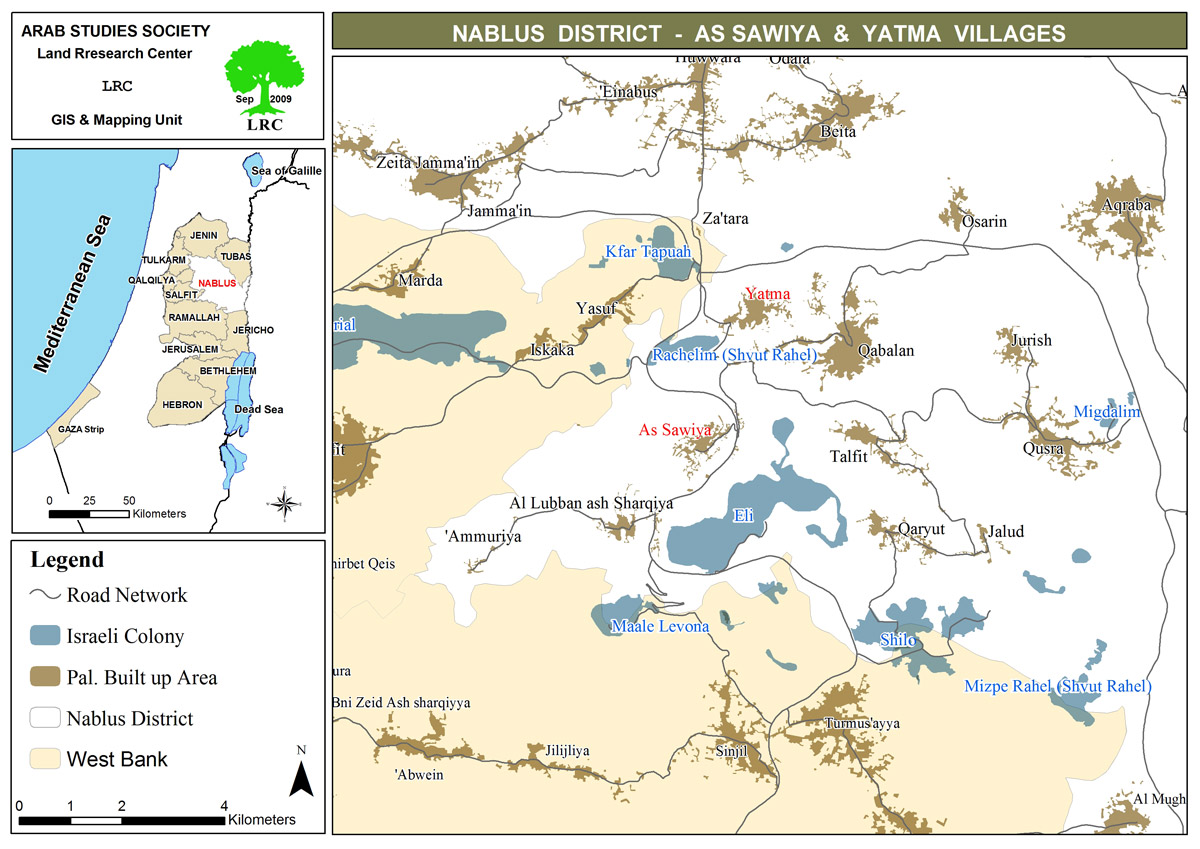 Settlers Cut Down 35 Olive Trees in Al Sawiya Village / South Nablus | LRC