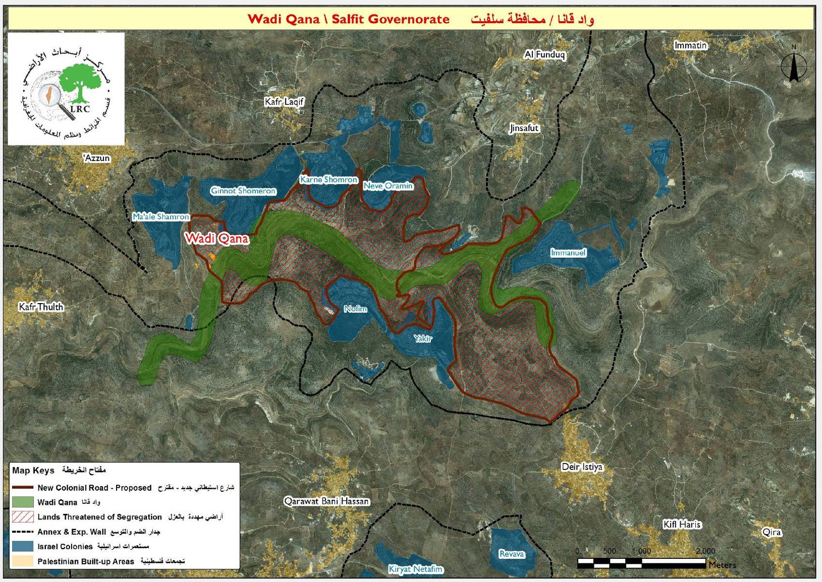 Cutting and Destroying 19 Tress and Agricultural Equipment in Wadi Qana area/ Salfit Governorate | LRC